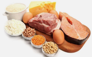 the advantages of the diet on the protein